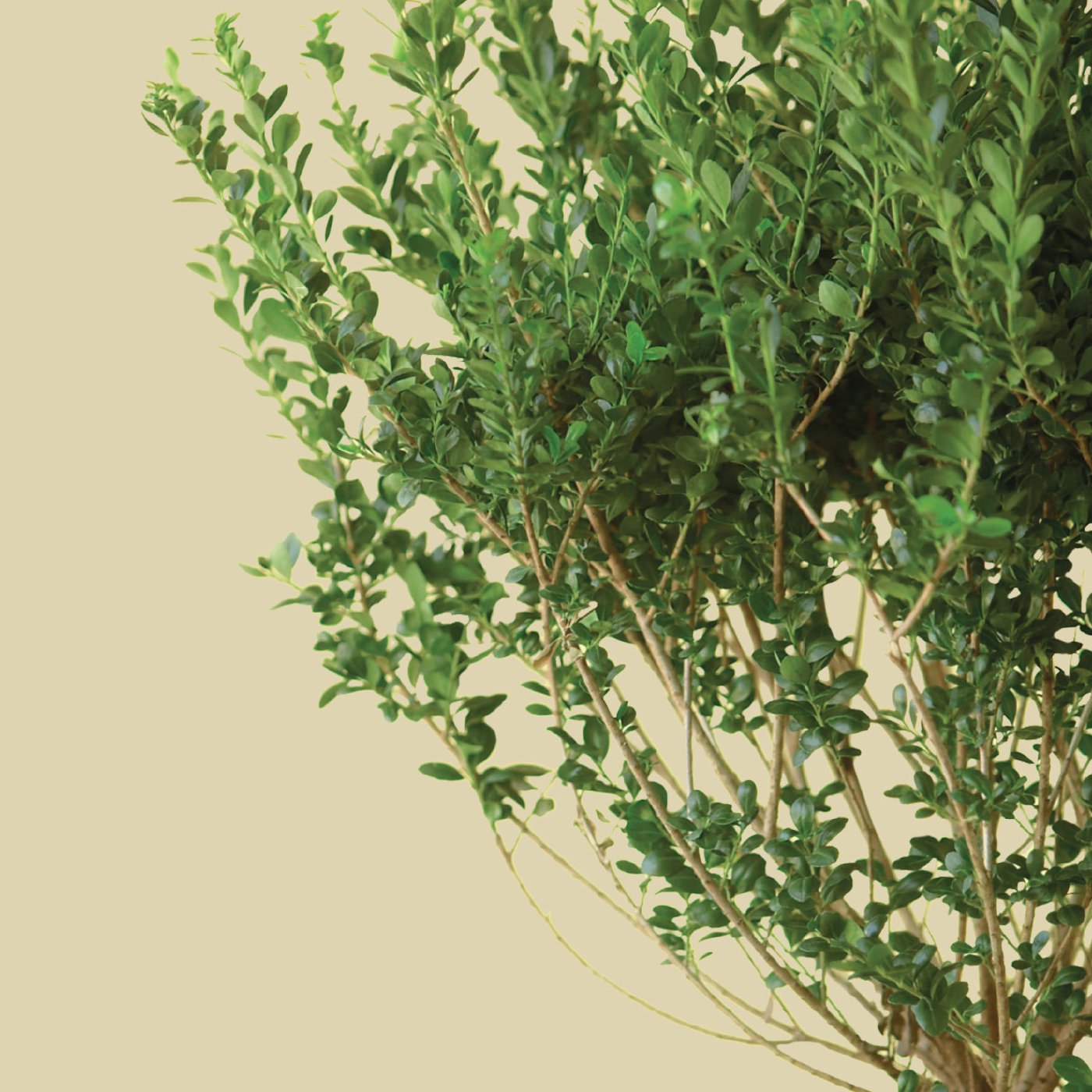 Destiny Live Messages with Pastor Keith O\'Neal