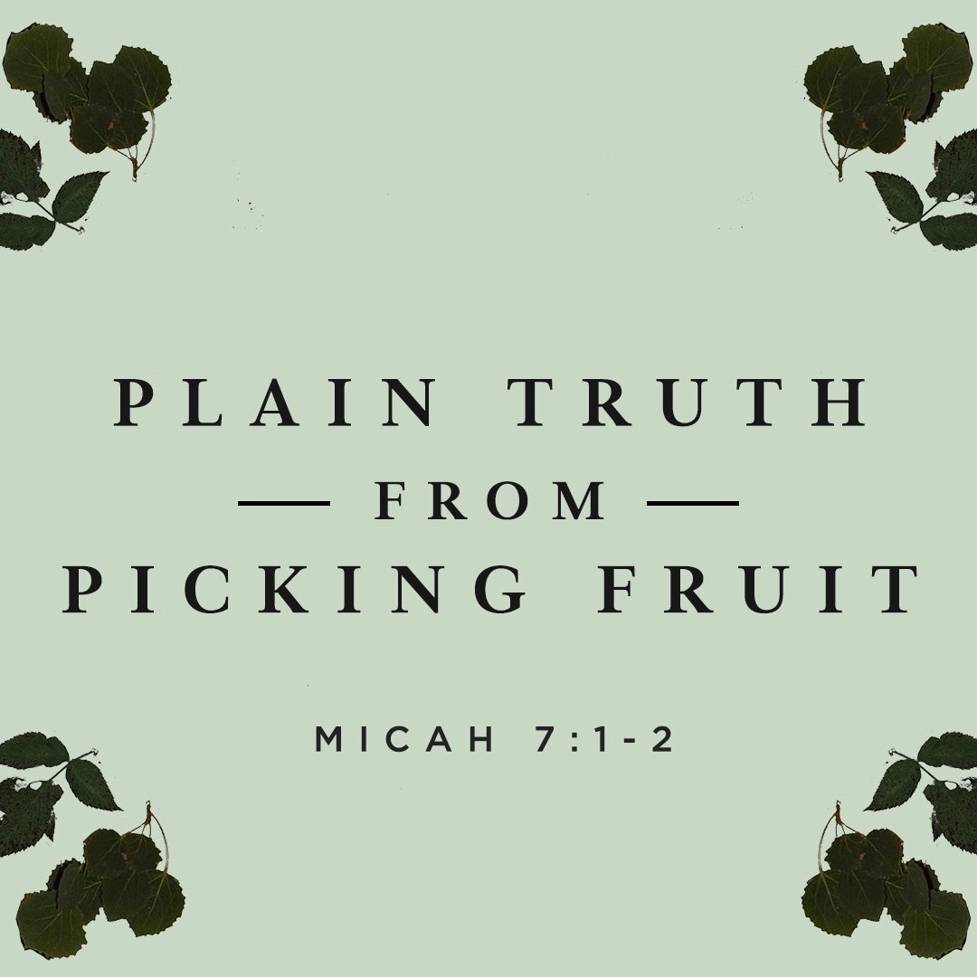Plain Truth from Picking Fruit episode artwork