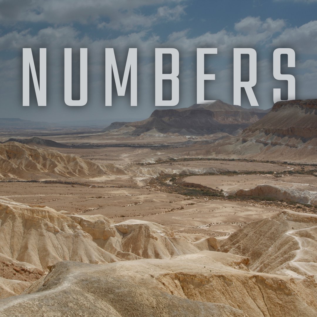 Numbers 31-36