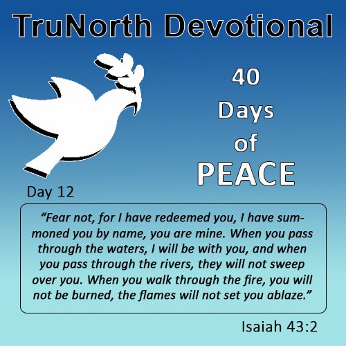 40 Days Of Peace - Day 12 episode artwork