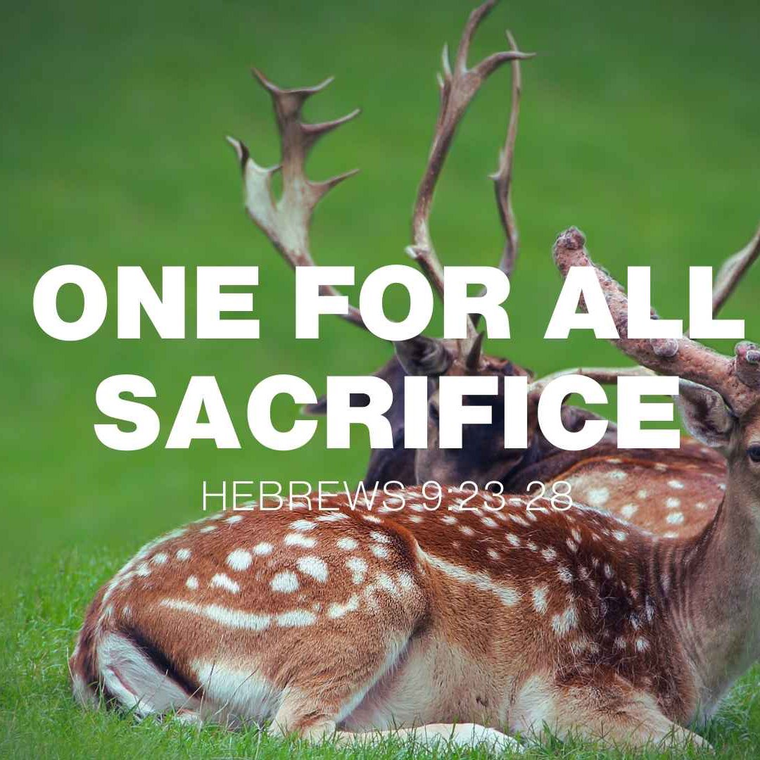 Daily Devotional – Hebrews 9:23–28