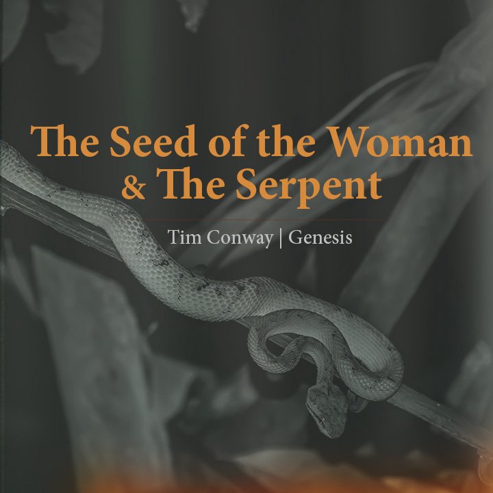The Seed of the Woman and The Serpent episode artwork