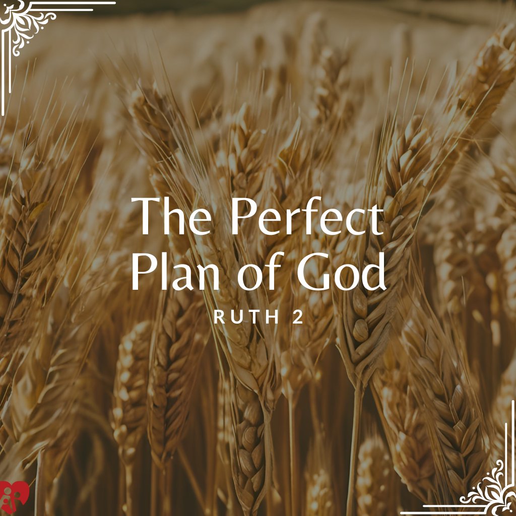 Hope Fellowship Church | Weekly Sermons