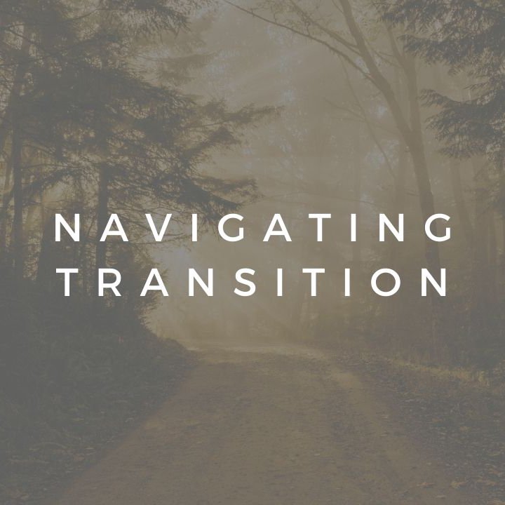Navigating Transition