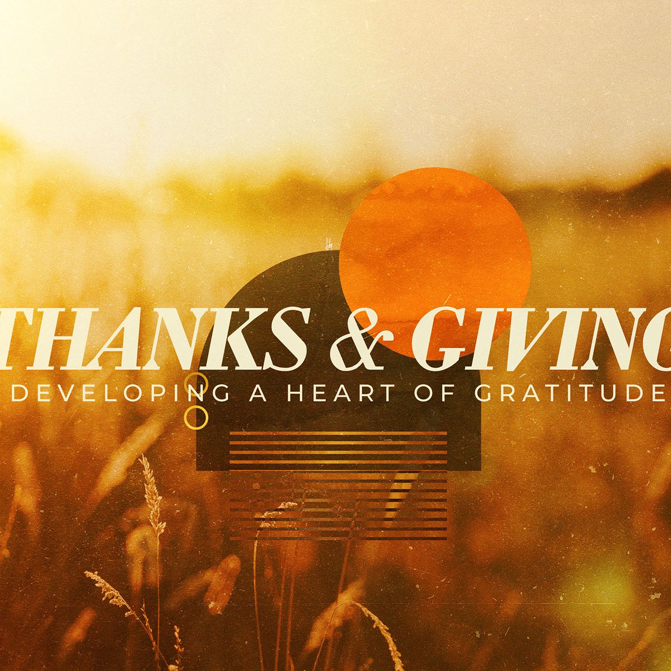 Evidence of Gratitude episode artwork