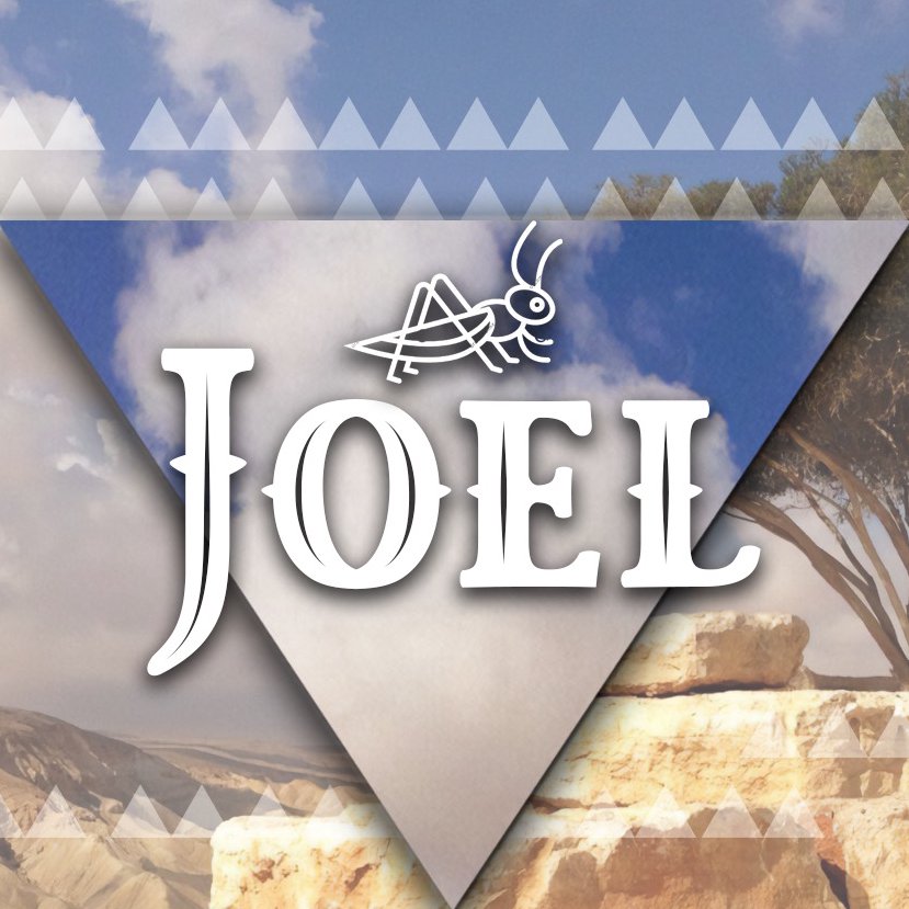 cover of episode Joel: The 1st Study