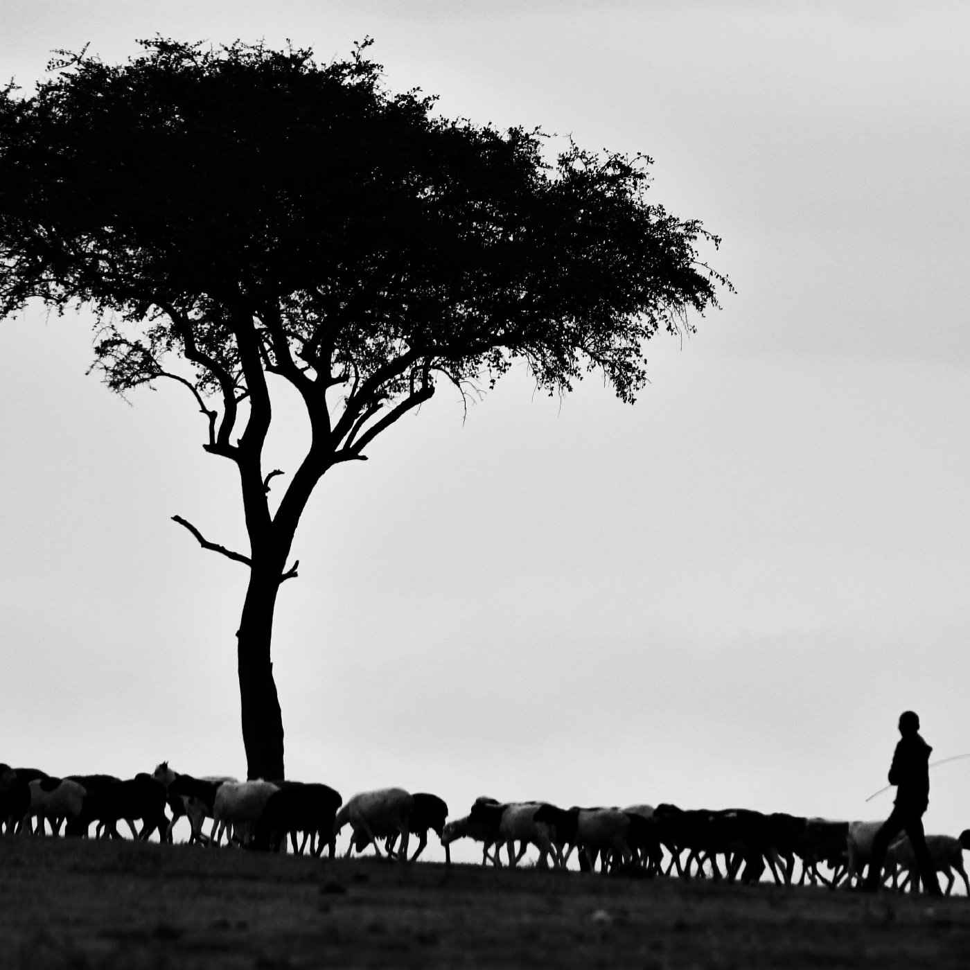 Friendship With Jesus