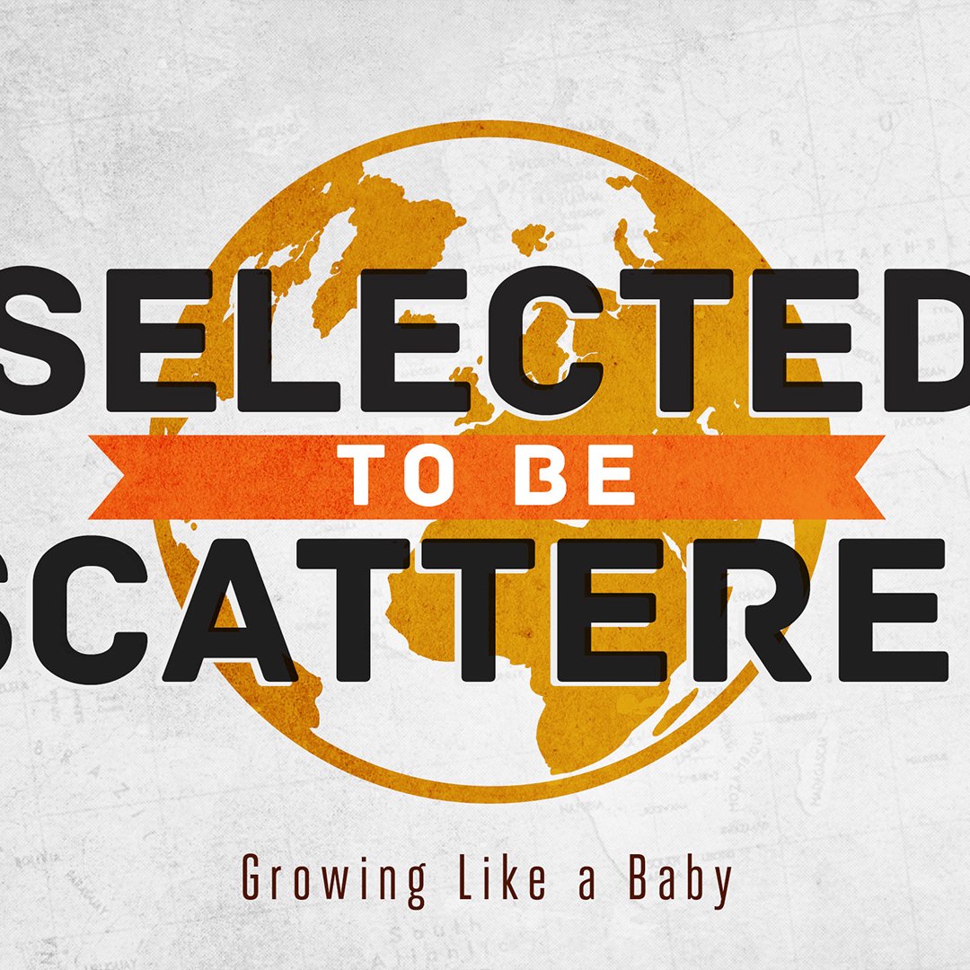 Growing Like a Baby episode artwork