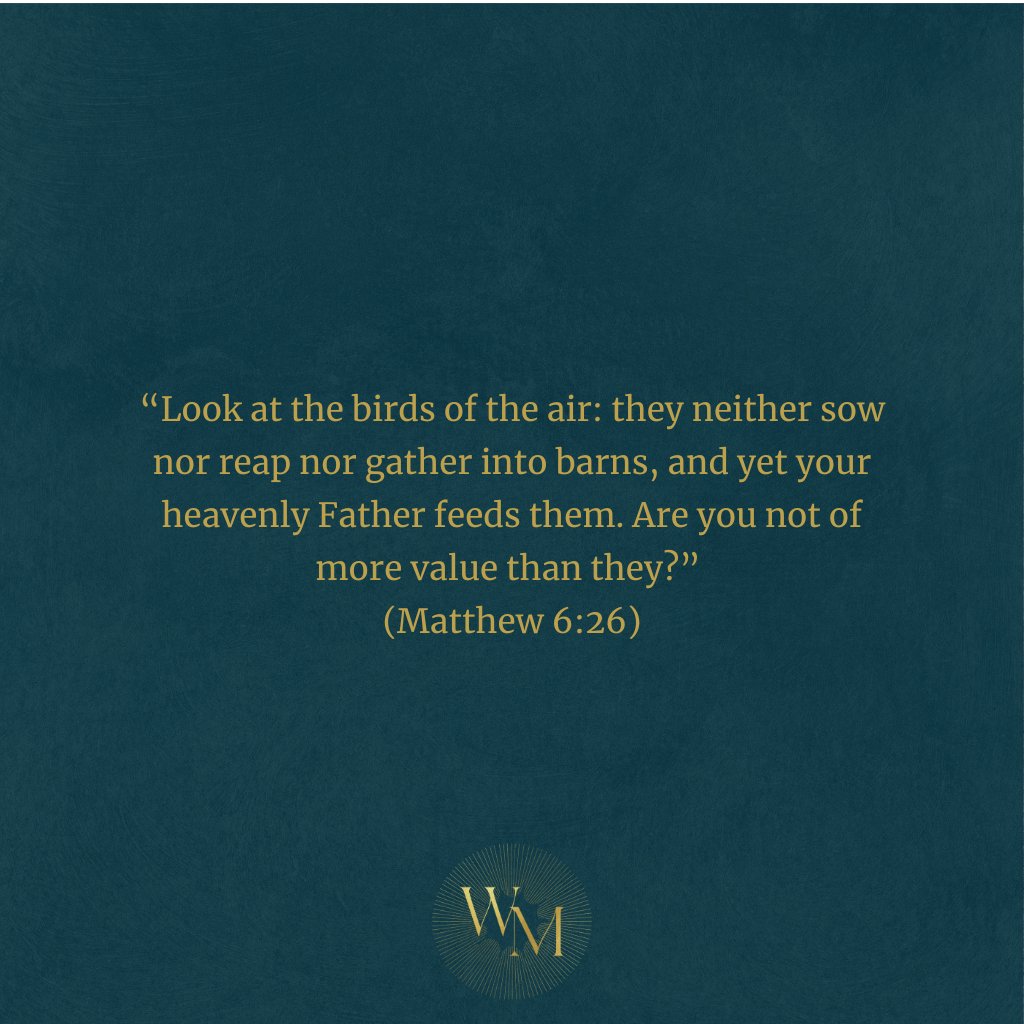 Wisdom Matters