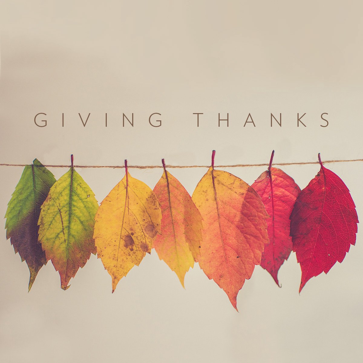 Giving Thanks episode artwork