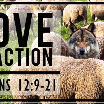 Love in Action