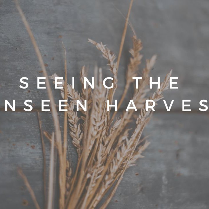Seeing the Unseen Harvest episode artwork