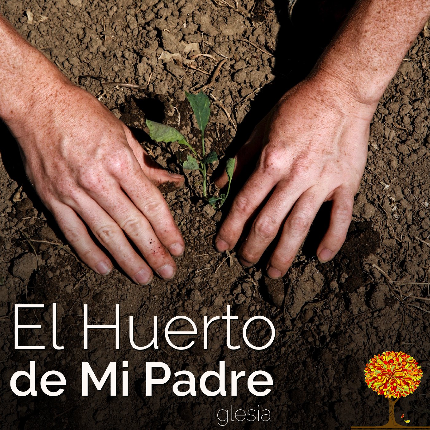 El Huerto de Mi Padre // Ep 2