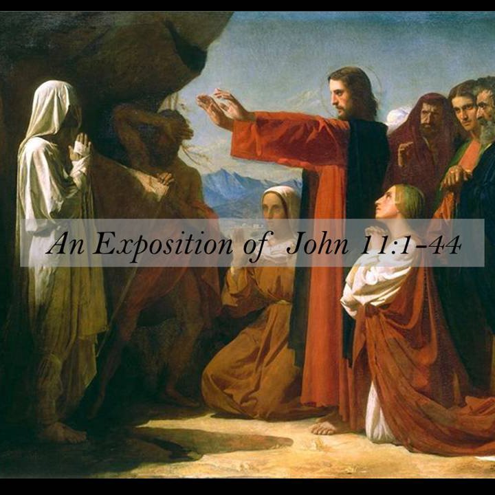 An Exposition Of John 11 episode artwork