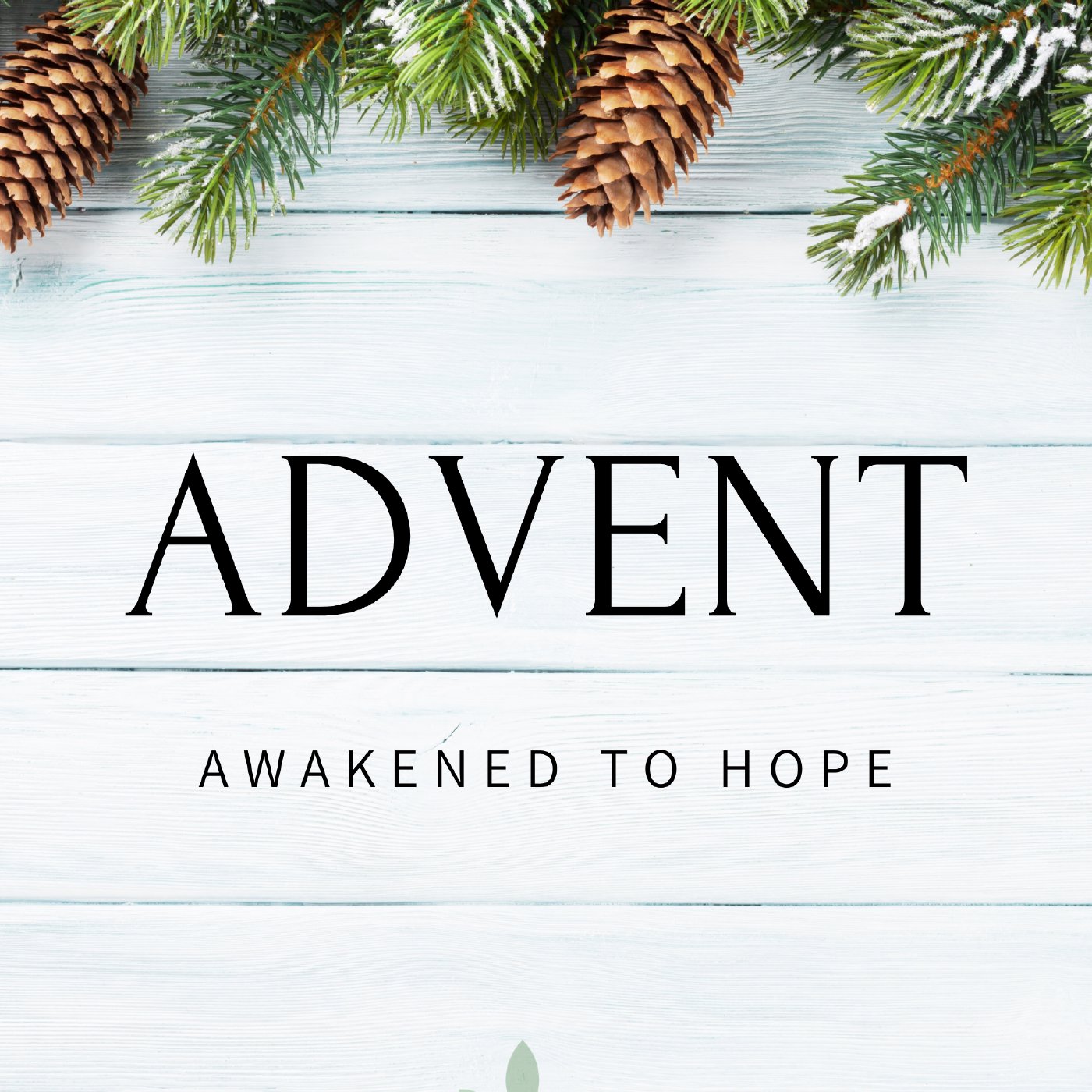 Week Three of Advent: Jesus, the Lamb of God