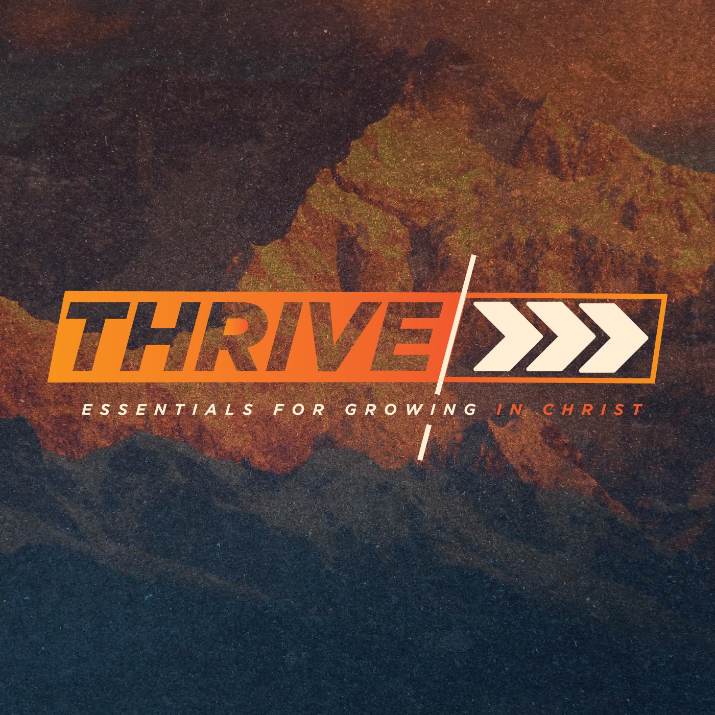 Delighting In God's Word