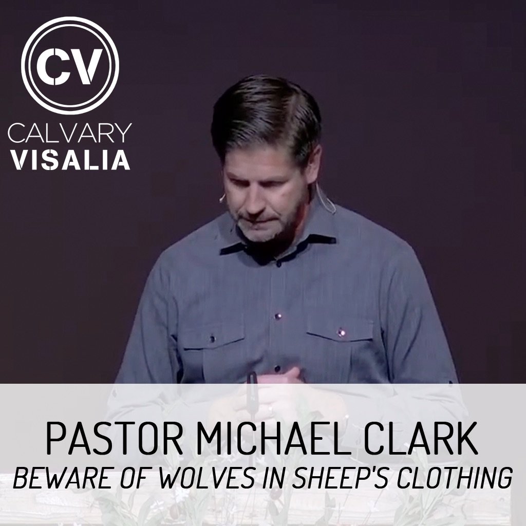 Beware of Wolves in Sheep's Clothing - Acts 20