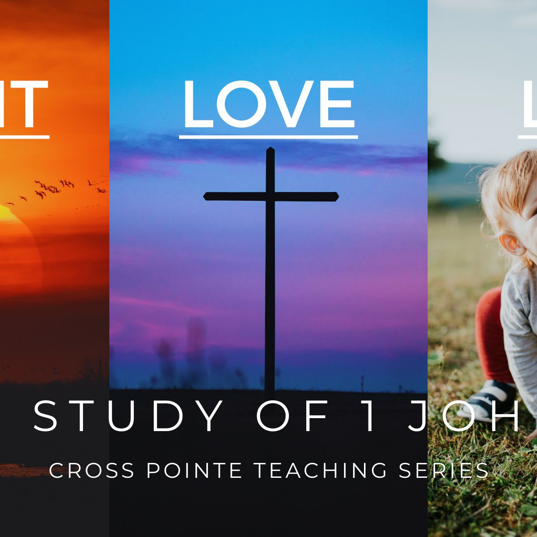 Light, Love and Life - Week 2