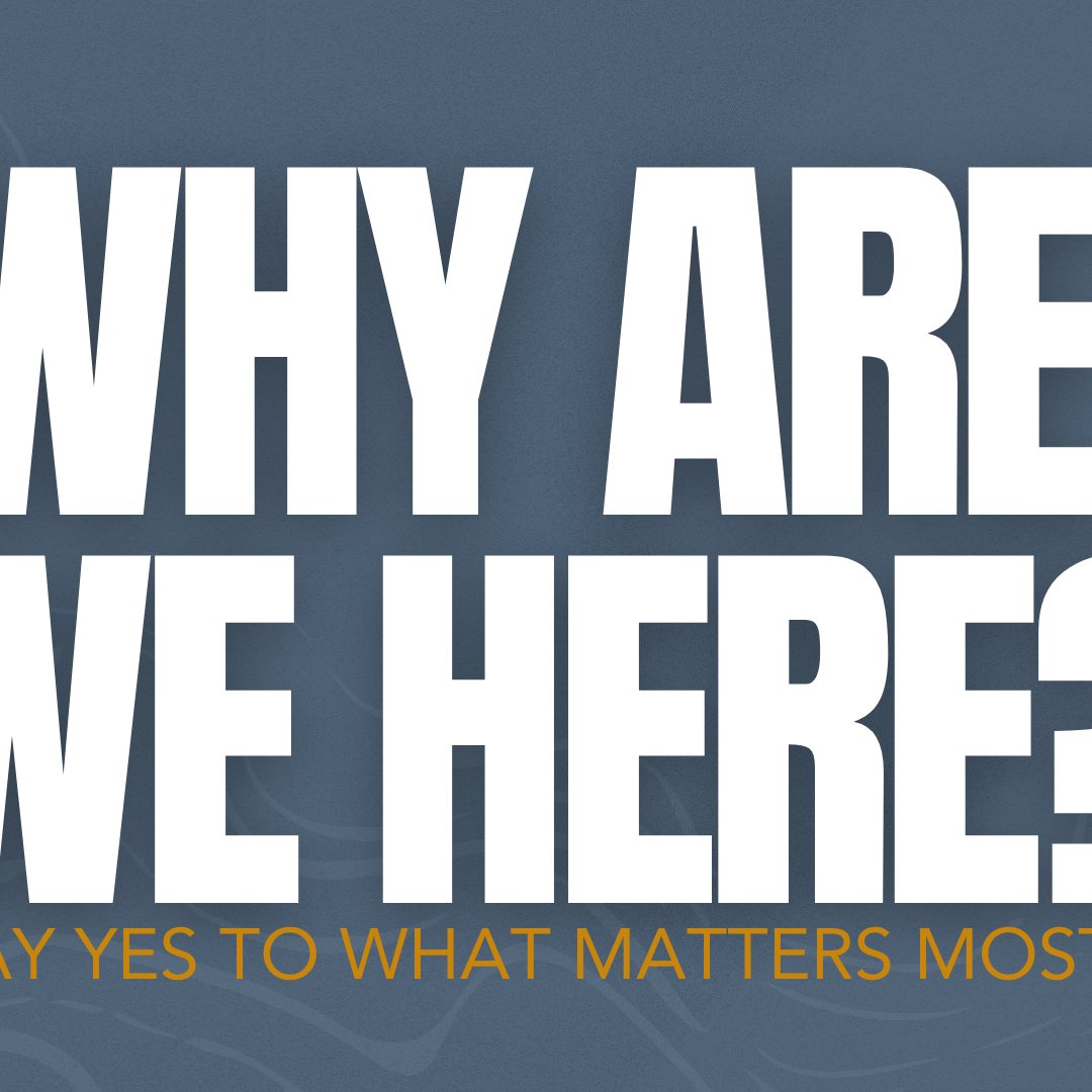 Why Are We Here? / Say Yes to Living in Harmony