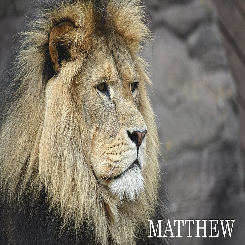 Matthew 4:1-11 episode artwork