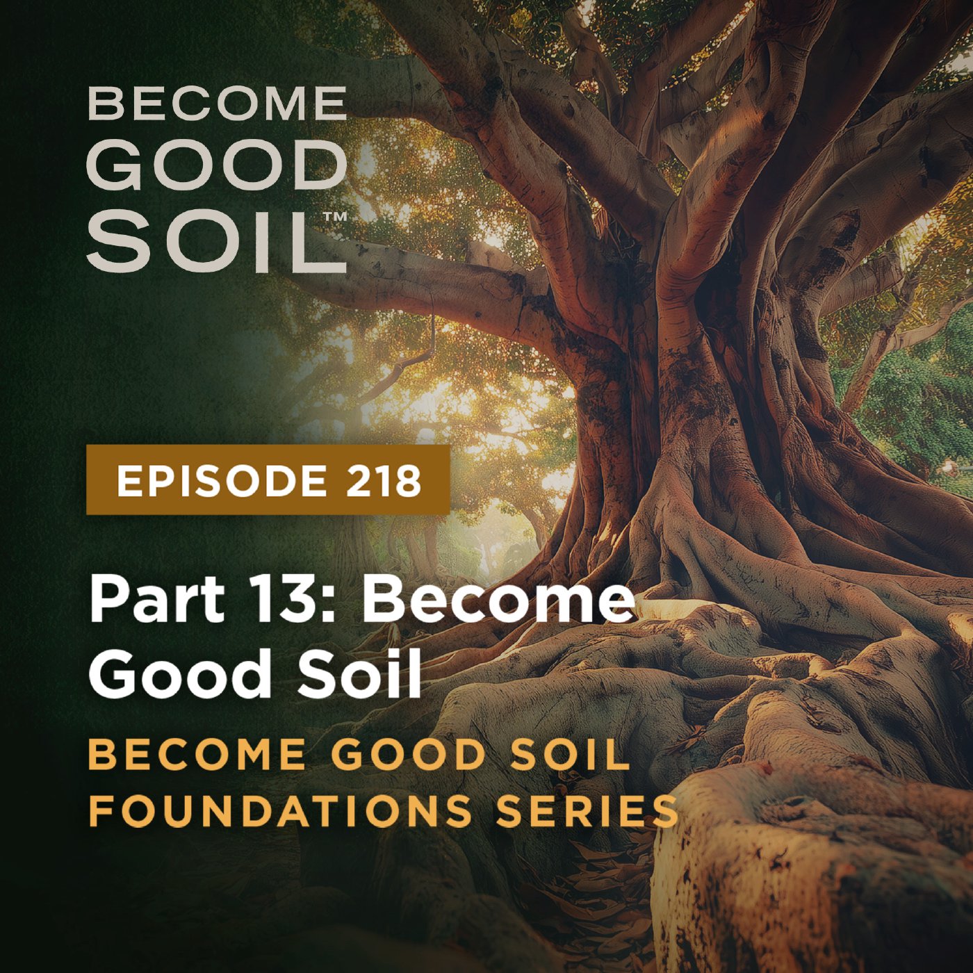 218: Become Good Soil – Become Good Soil Foundations Series (Part 13)