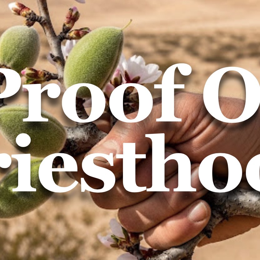 Proof Of Priesthood Proof Of Priesthood
