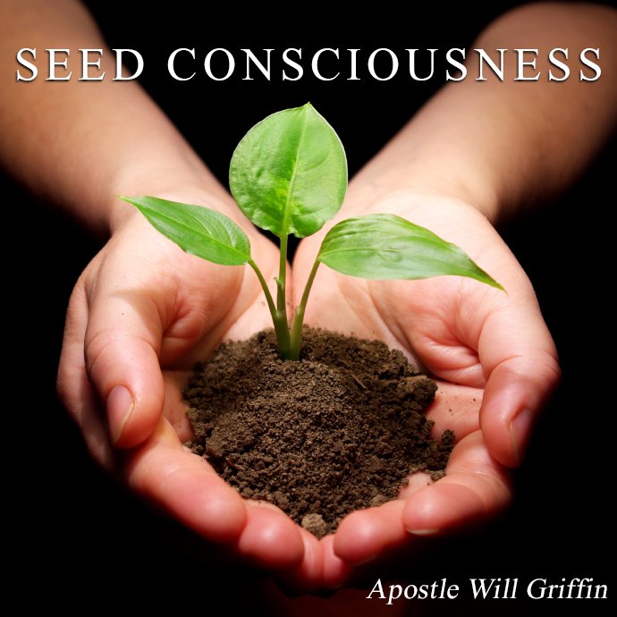 Seed Consciousness episode artwork
