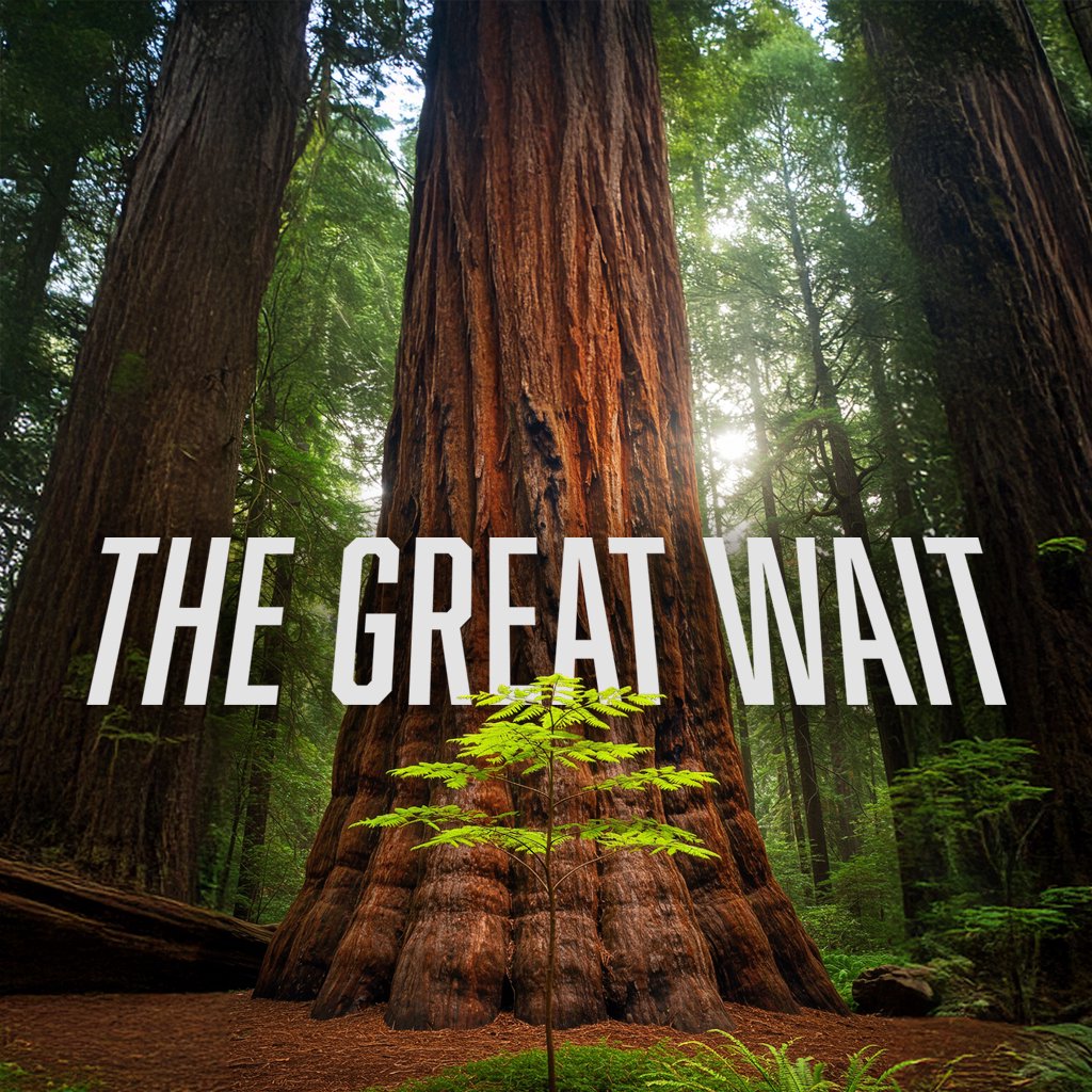 Four Marks of God’s Chosen People