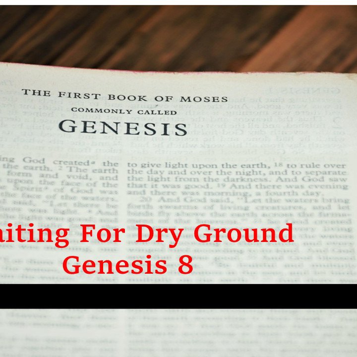Waiting for Dry Ground
