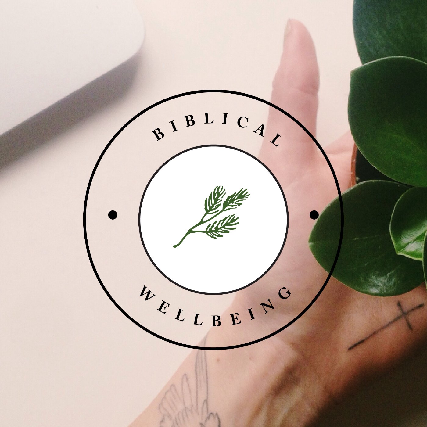 The Gift of Margin - Biblical Wellbeing Week 3 episode artwork