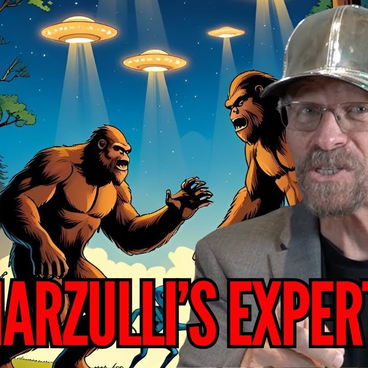 L.A. Marzulli Insights