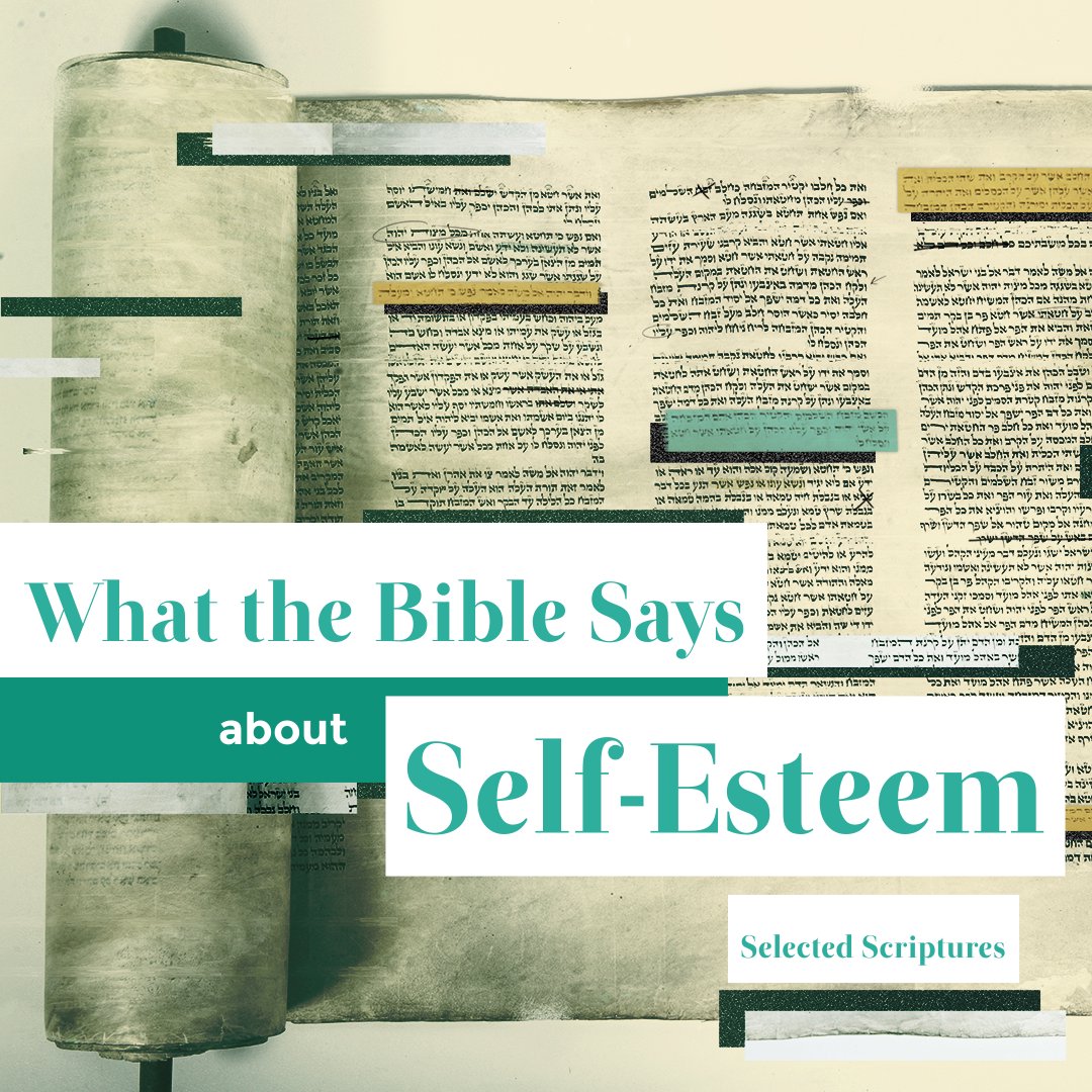 Trinity Fellowship Friendswood, TX