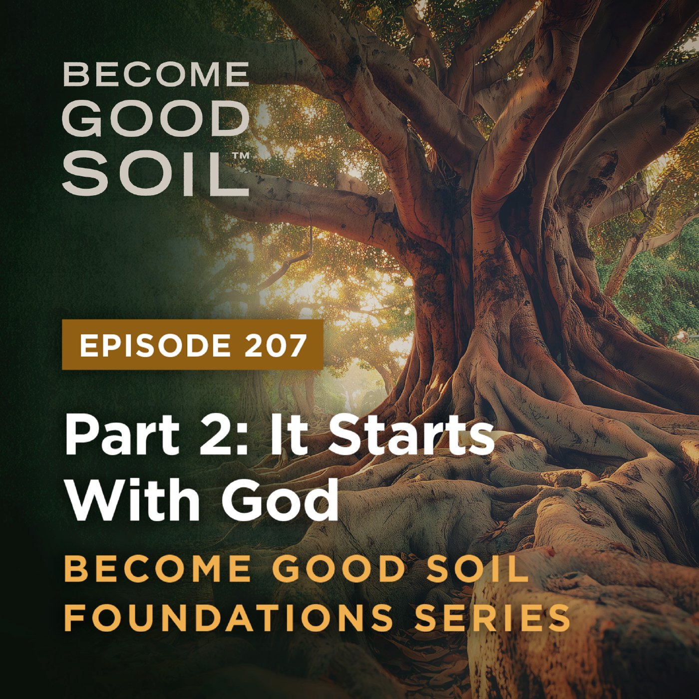 207: It Starts With God – Become Good Soil Foundations Series (Part 2) 207: It Starts With God – Become Good Soil Foundations Series (Part 2)