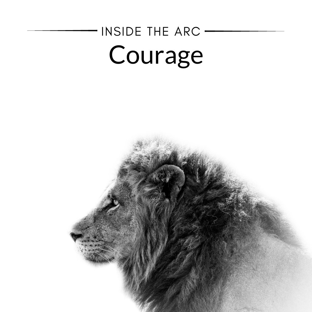 INSIDE THE ARC