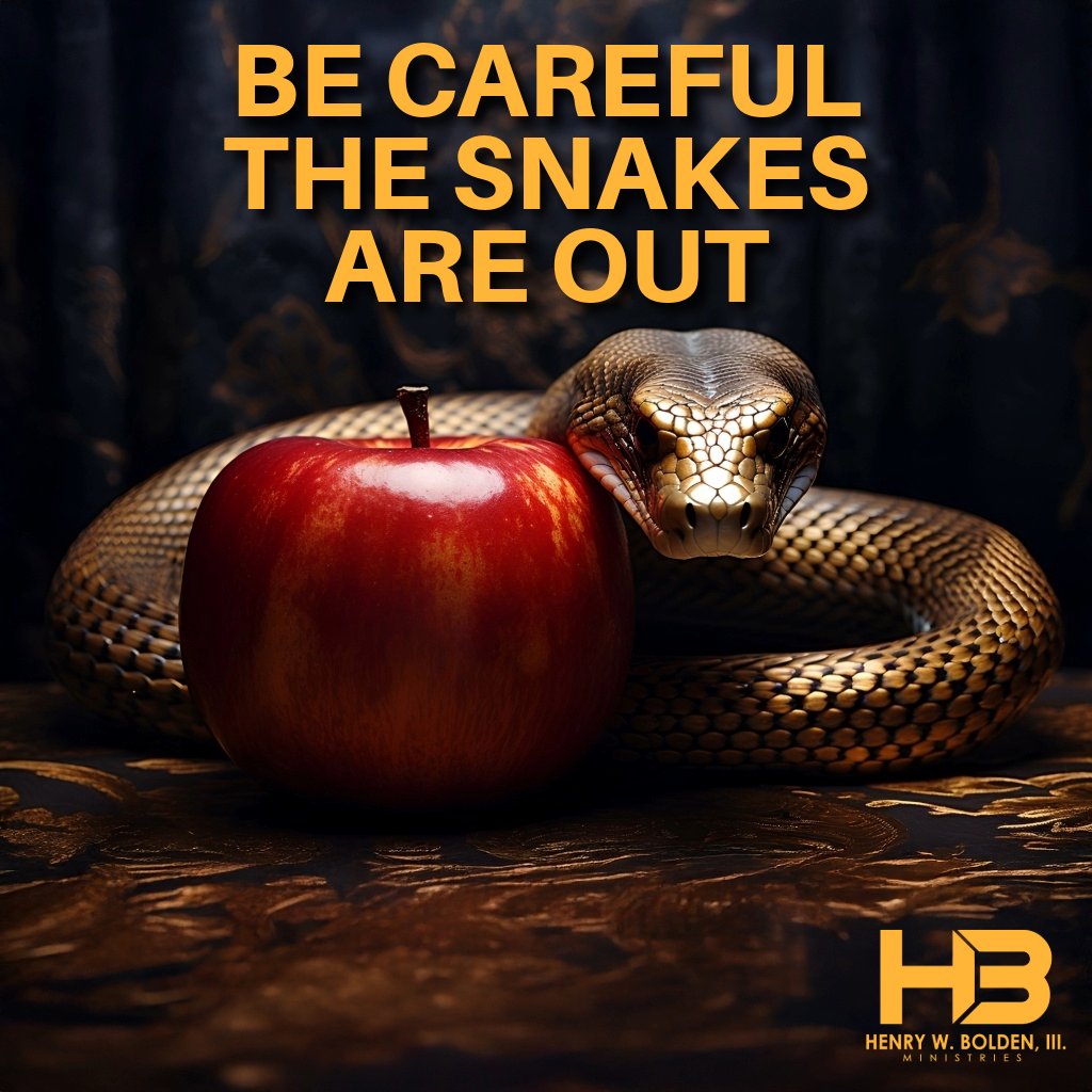 Be Careful the Snakes are Out! | Bishop Henry W. Bolden, III episode artwork