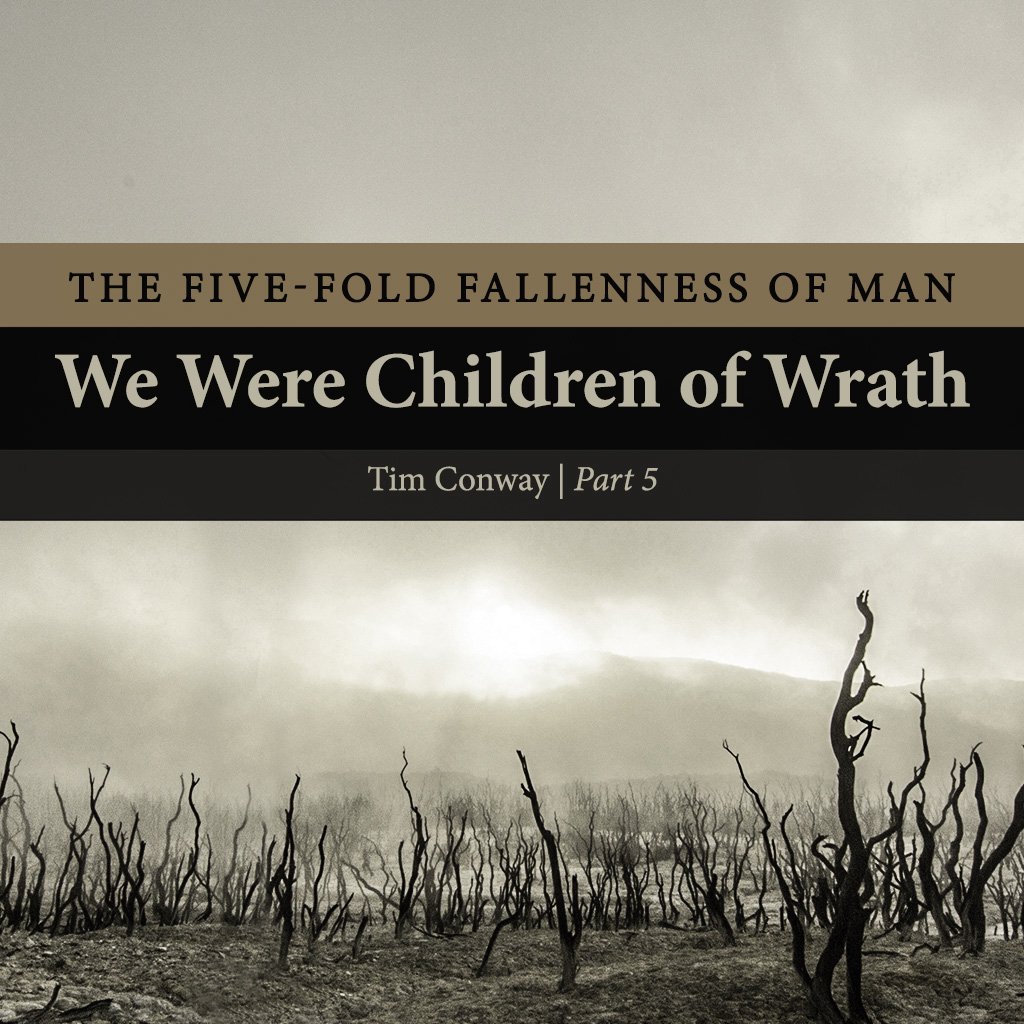 We Were Children of Wrath (Part 5) episode artwork