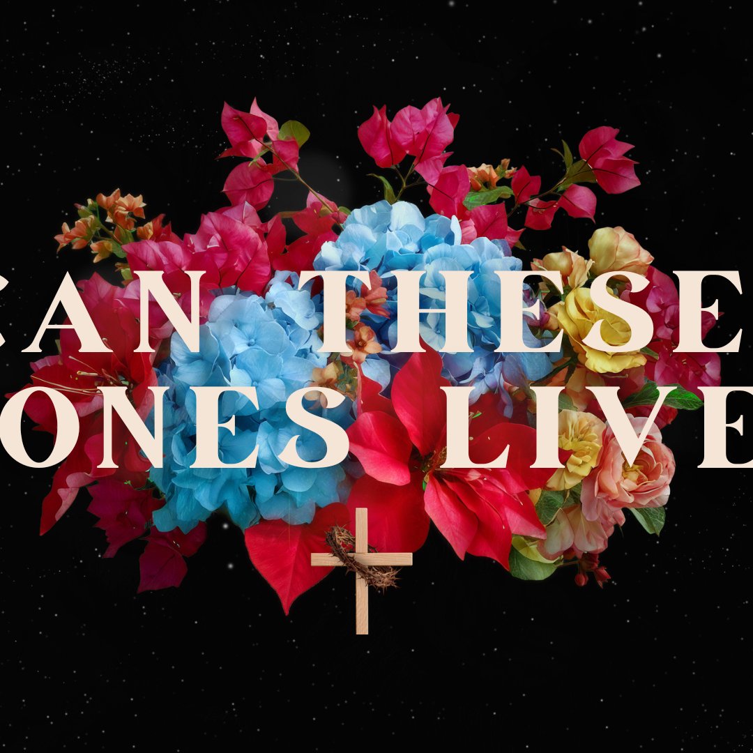 Can These Bones Live? - Easter 2026 episode artwork