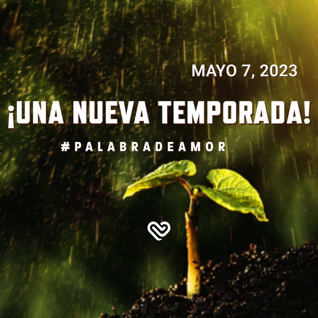 Palabra De Amor Church