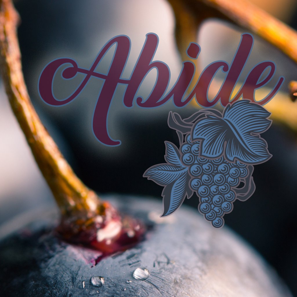 Abide in Truth-Matt Dubach, Director of Student Ministries, Decatur Campus episode artwork