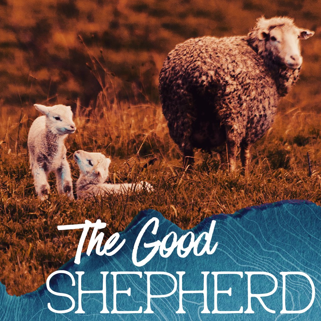 The Good Shepherd // John 13 episode artwork