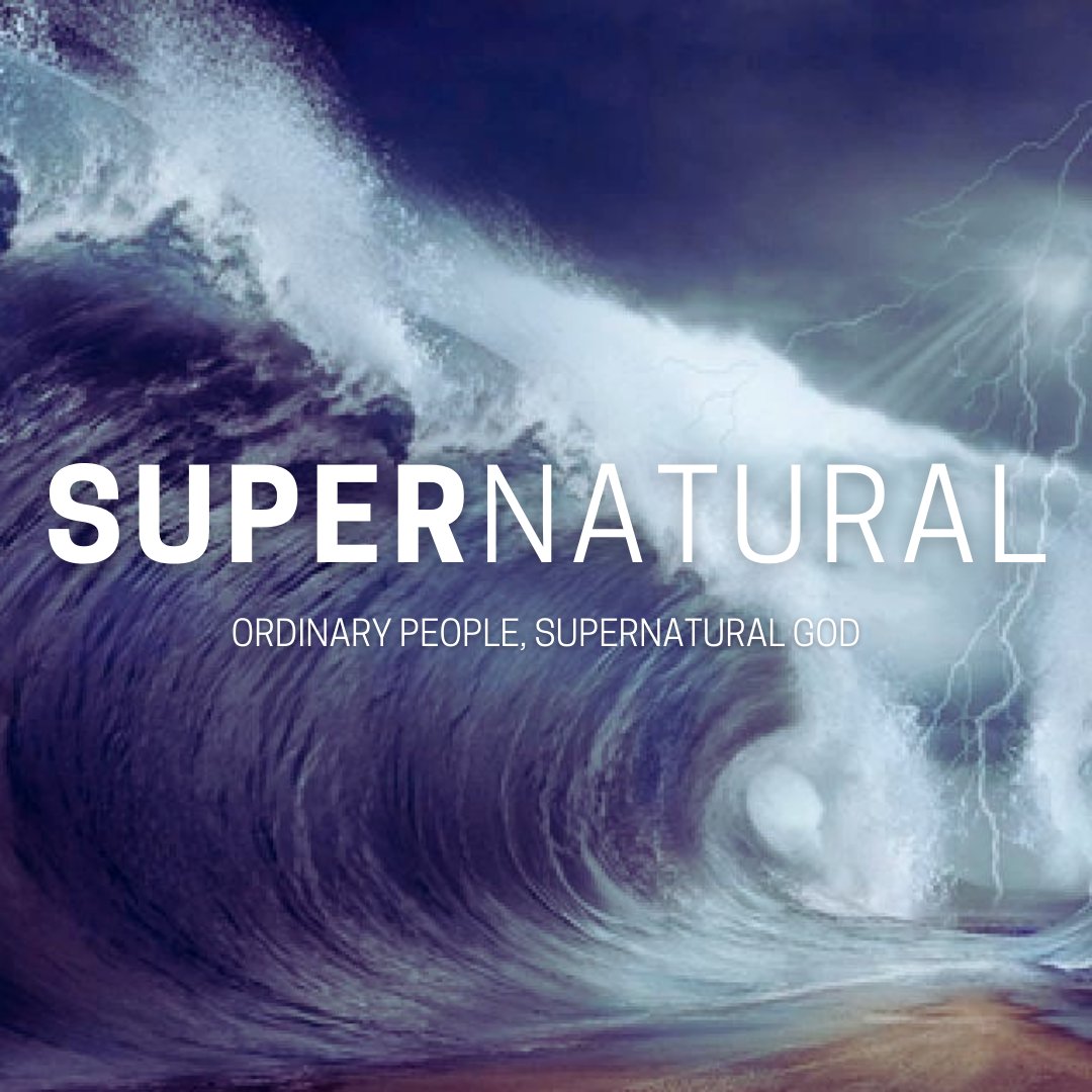 Genuine vs. Counterfeit episode artwork