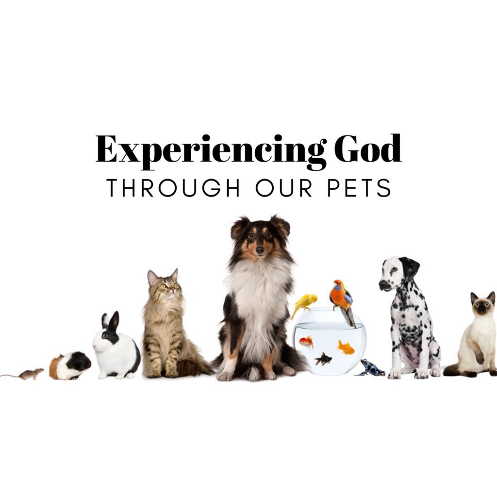 09-13-20 - Experiencing God through Our Pets episode artwork