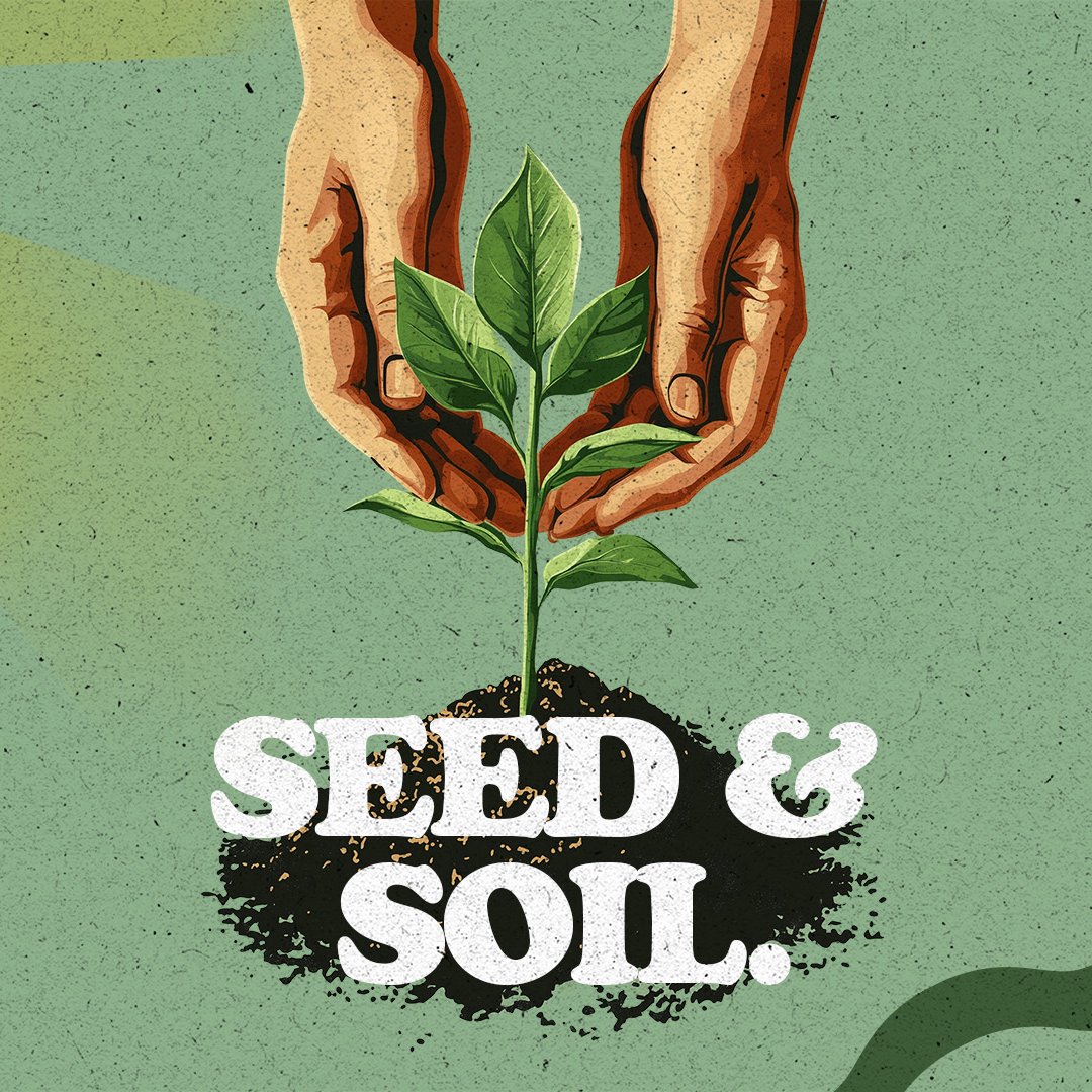 Seed and Soil | Best Summer Yet episode artwork