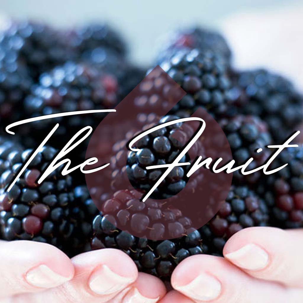 The Fruit | Part 7 episode artwork