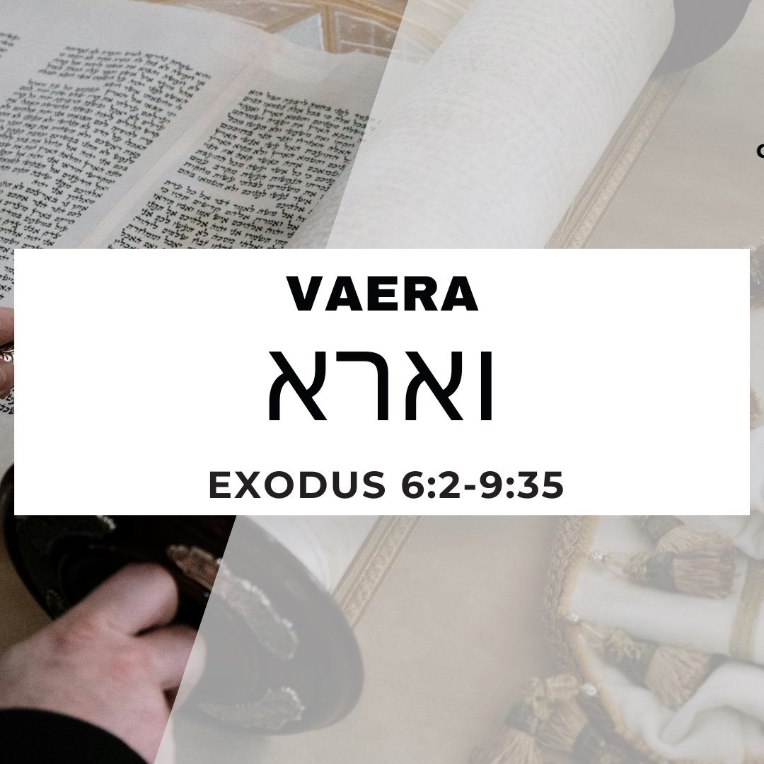 CMC Parasha Vaera 5786