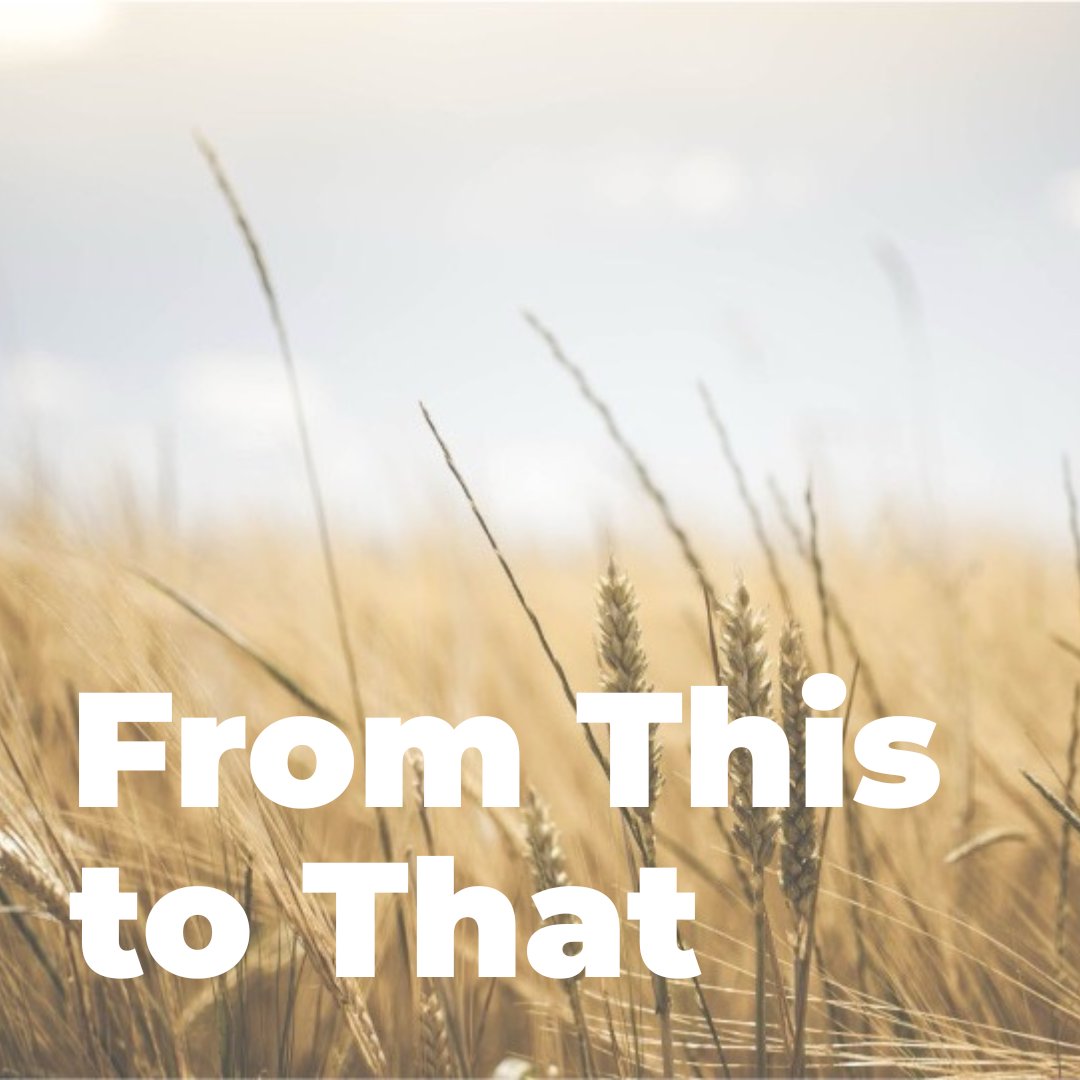 From Depression to Dependence