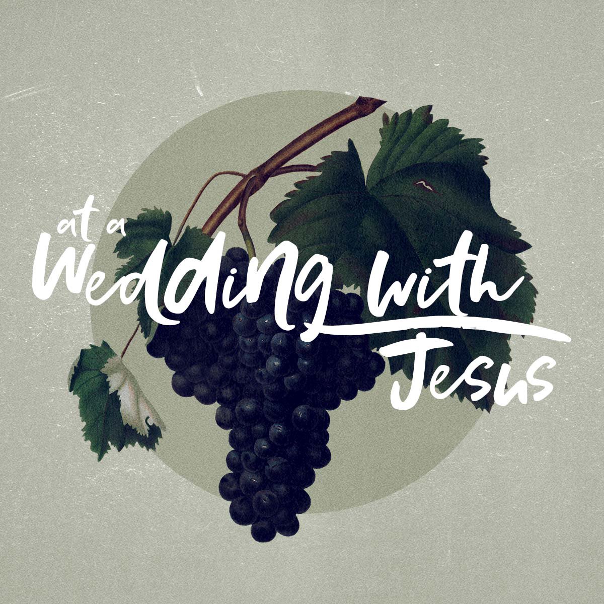 Believers Fellowship | Belleville, Arkansas | Pastors Seth & Katie Drewry