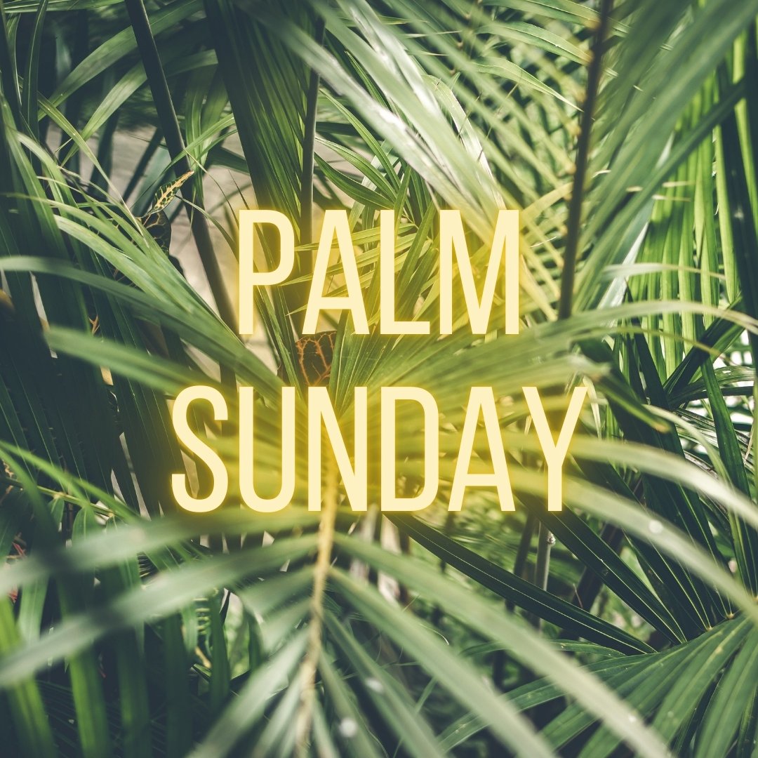 Palm Sunday 2025 episode artwork