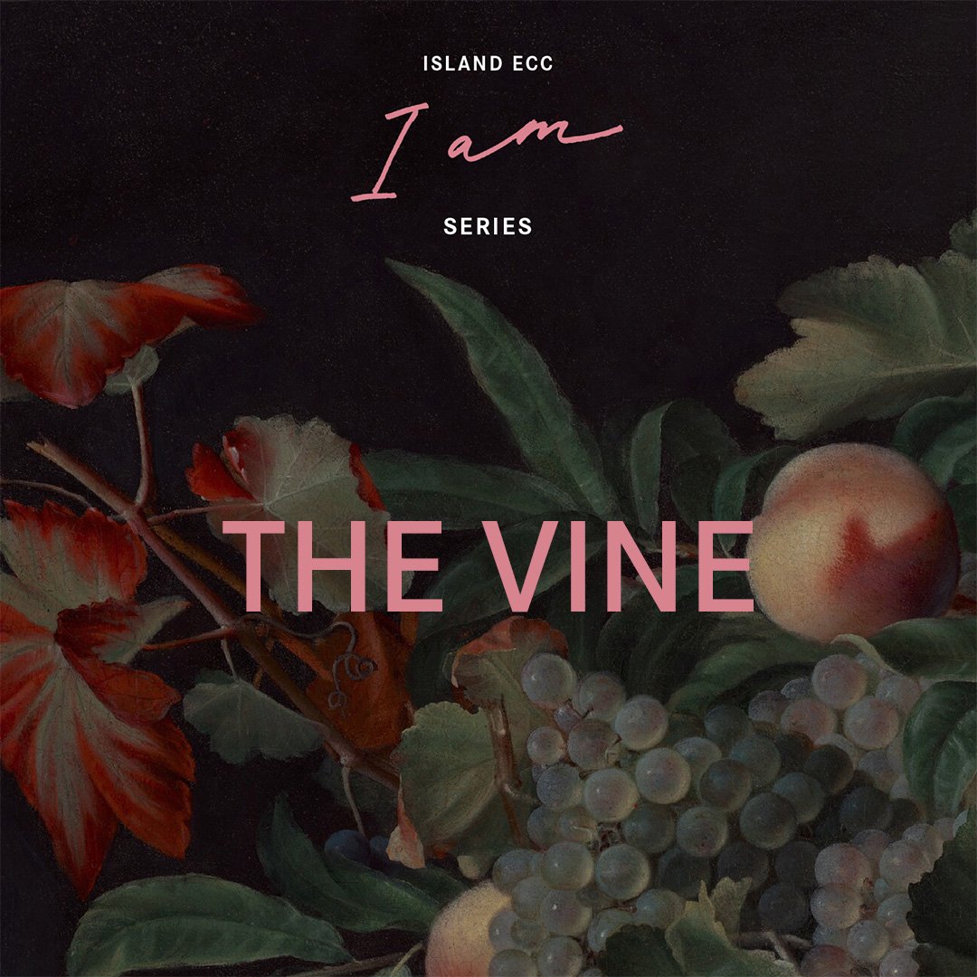I AM: The Vine episode artwork