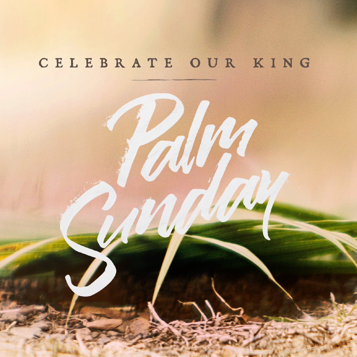 04-02-23 | Palm Sunday | Celebrate our King | Matthew 21:1-11 | Drew Blake episode artwork